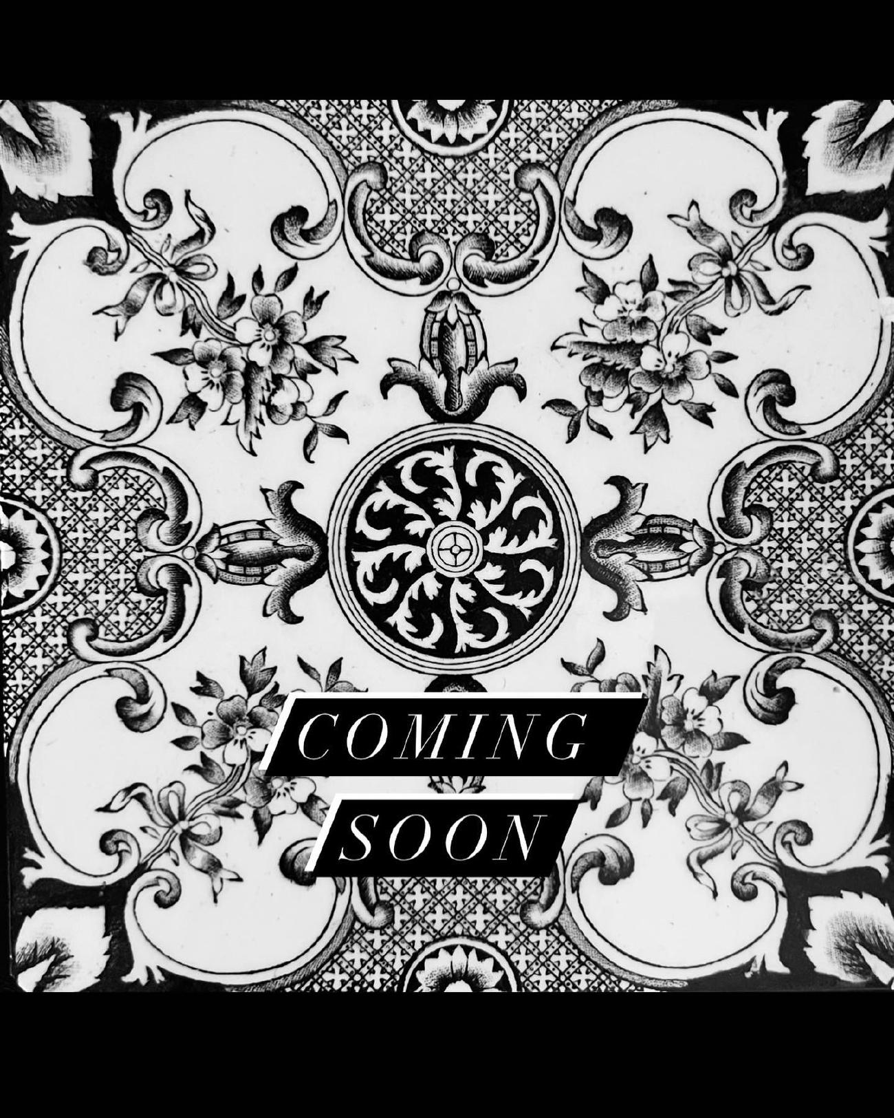 Feed Image CxXiI16sfZp