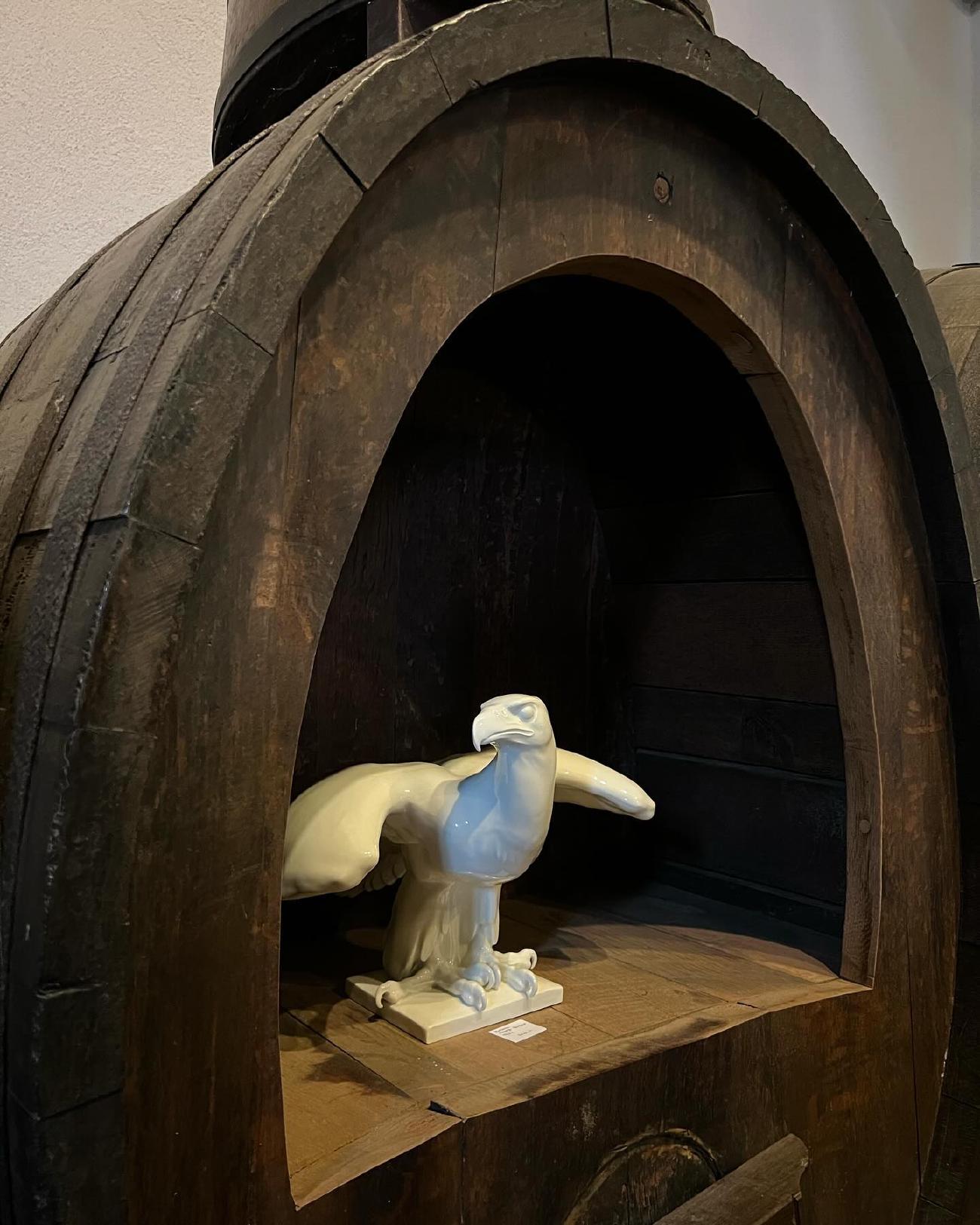 Feed Image C2Py5_gMZgr